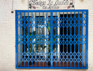 Ballesta2 copia